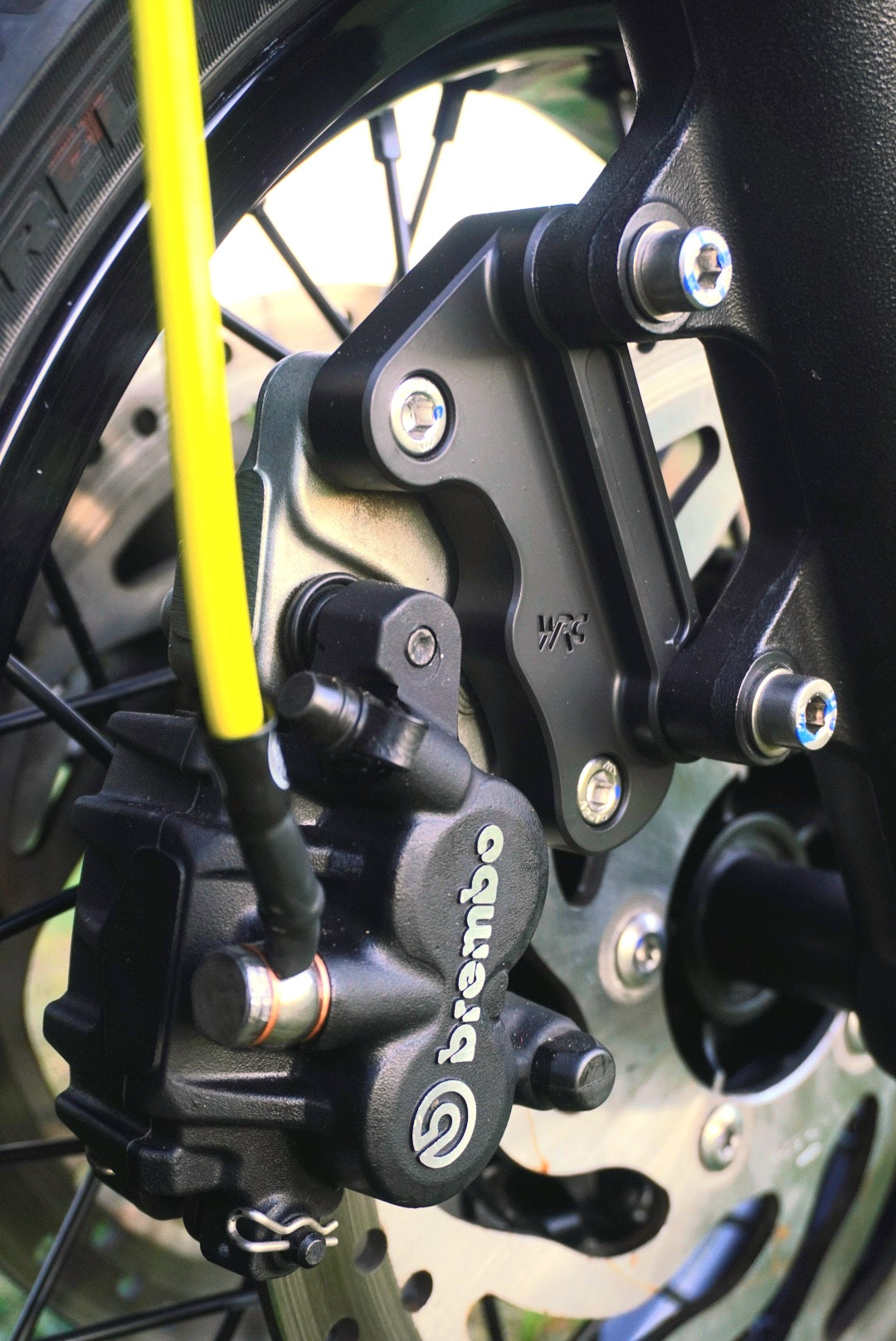 Project Genesis