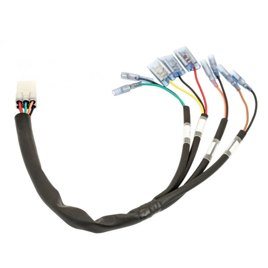 Motone Rear Wiring Loom
